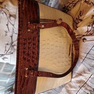 Daydream Montgomery brahmin